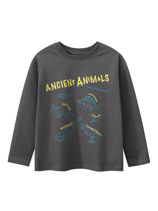 Arrival Kids Dinosaur Cartoon Print Crew Neck Long Sleeves Sweatshirt