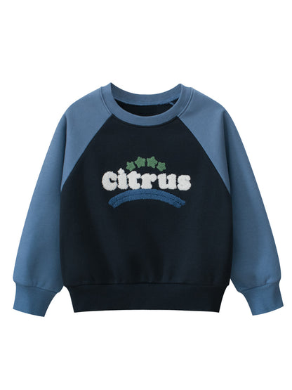 Autumn Baby Kids Boys Letters Pattern Color Patchwork Long Sleeves Crew Neck Top Pullover