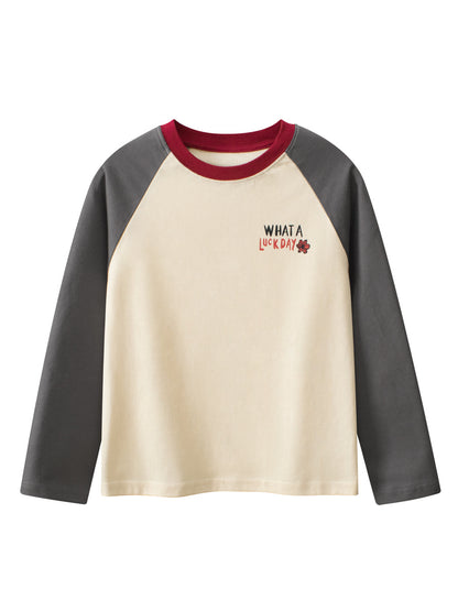 Autumn New Arrival Kids Boys Letters Print Crew Neck Long Sleeves Color Patchwork Sweatshirt