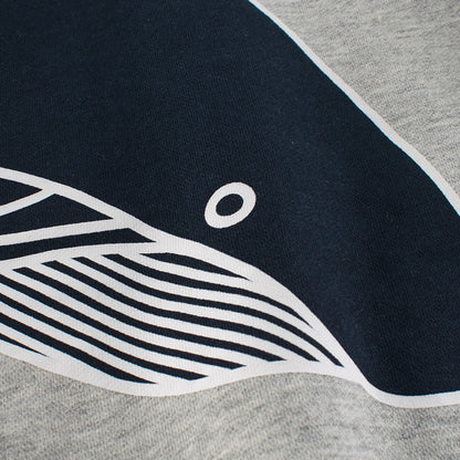 Boys Dophin Animal Pattern Round Collar Sweatshirt